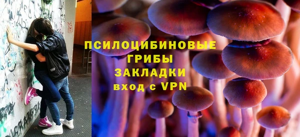 гашик Киренск