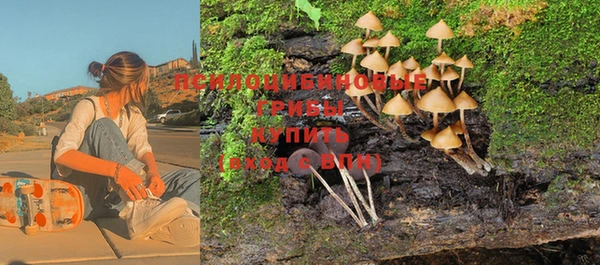 гашик Киренск
