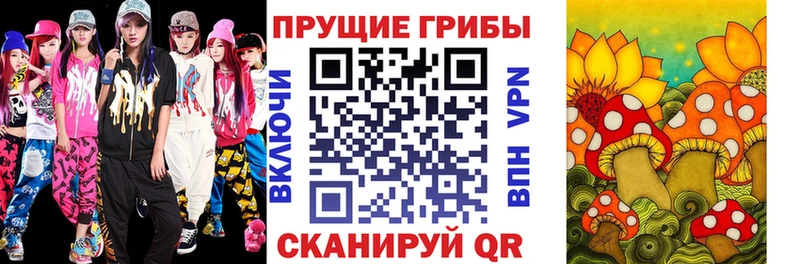 Купить где  Любим  Псилоцибиновые грибы мицелий 